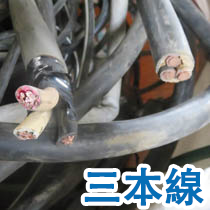三本線